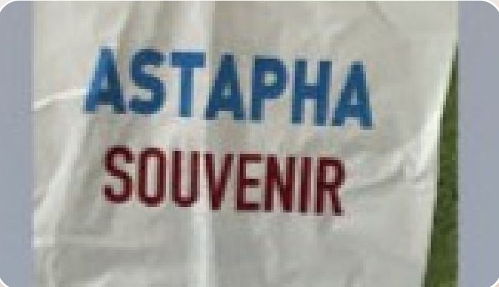 Sacs papier imprimés